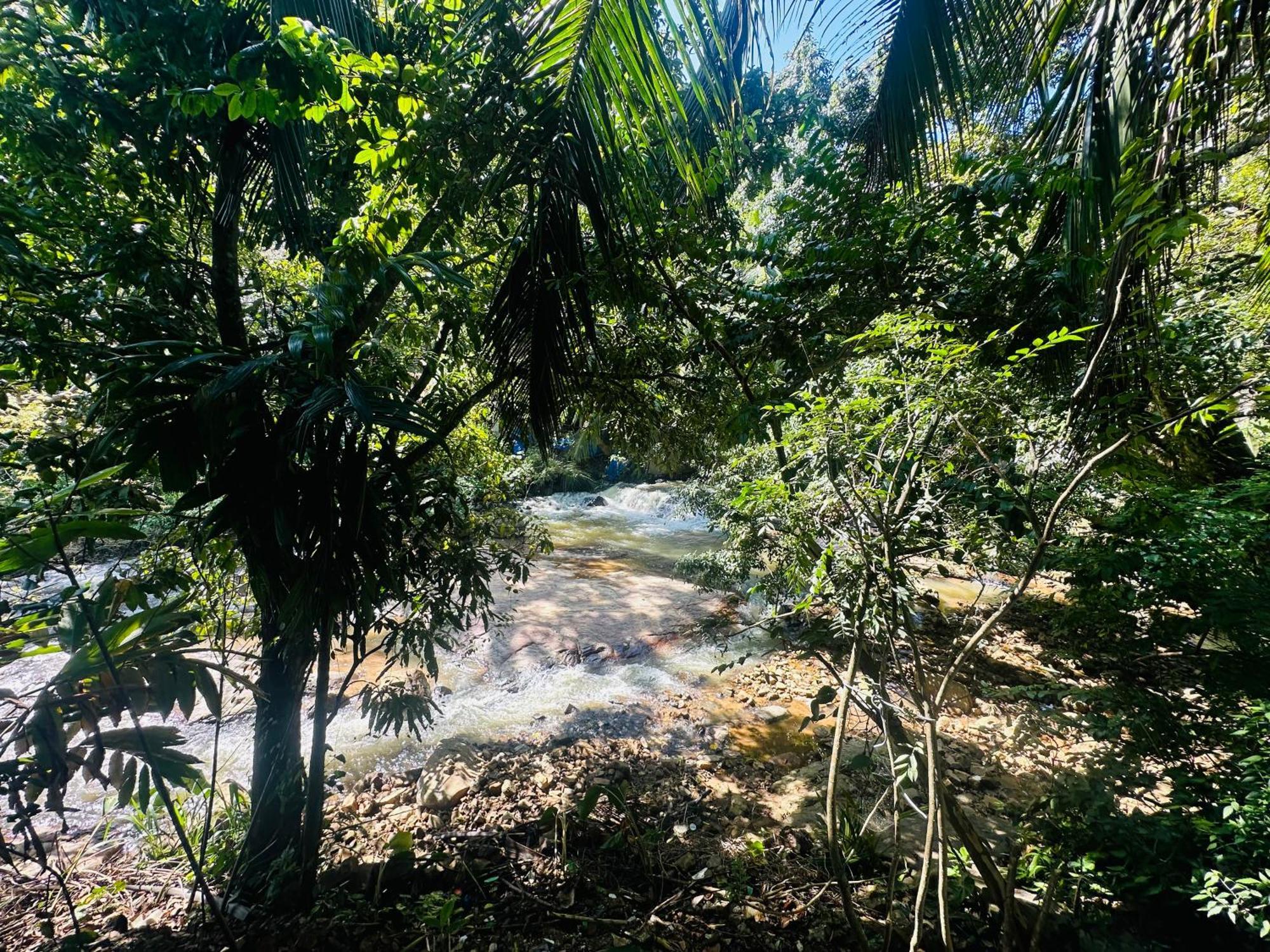River Splendour Home Stay Элла Экстерьер фото