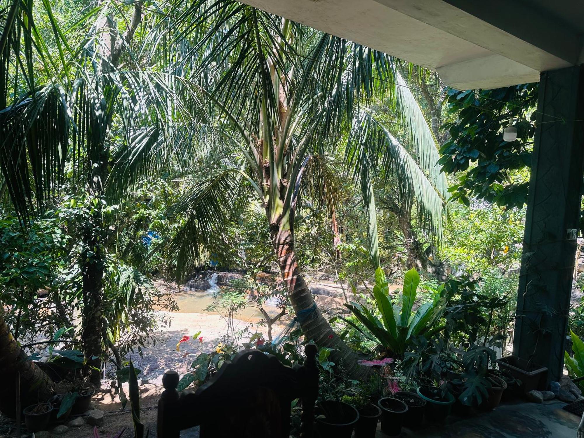 River Splendour Home Stay Элла Экстерьер фото