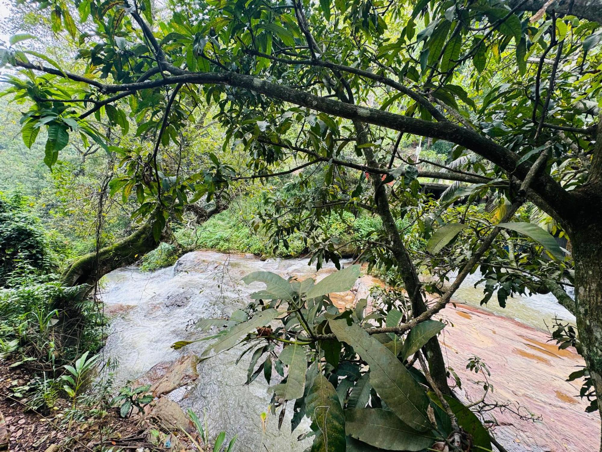 River Splendour Home Stay Элла Экстерьер фото